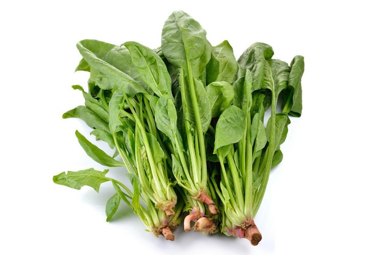 菠菜